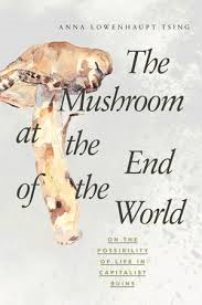 cover The Mushroom at the End of the World